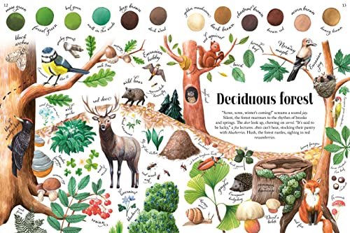 Colors of Habitats: 2