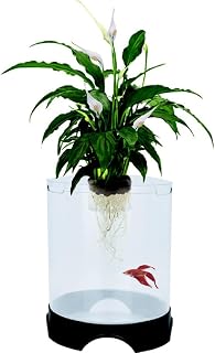 Penn-Plax 1.4 Gallon Aquaponic Betta Fish Tank & Hydroponic Planter - Symbiotic Natural Filter for Healthy Plants & Fish