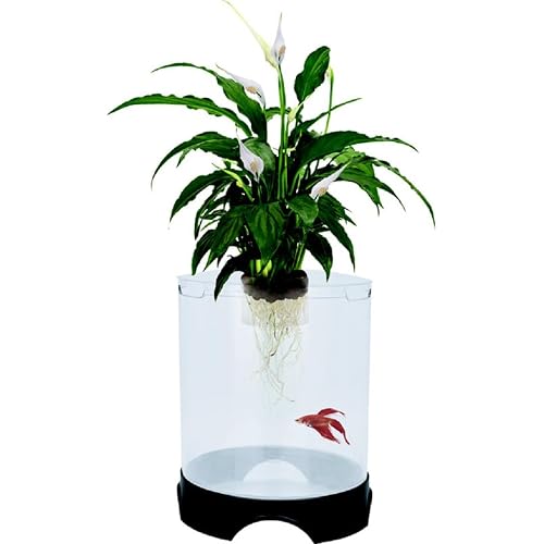 Penn-Plax Aquaponic Planter and Aquarium for Betta Fish | Tank Promotes Healthy Hydroponic Environment for Plants and Fish