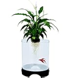 Penn-Plax Aquaponic Planter and Aquarium for Betta Fish | Tank Promotes Healthy Hydroponic Environment for Plants and Fish