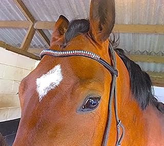 Cwell Equine Banda para cejas hecha a mano del equipo GB de color cristal, elección de tamaño y colores F/C/P (16 pulgadas, marrón)