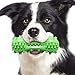 Juguete para perros molar bat baseball chillido perro cepillo de dientes juguete, chirrido fácil de atraer perros, le gustará
