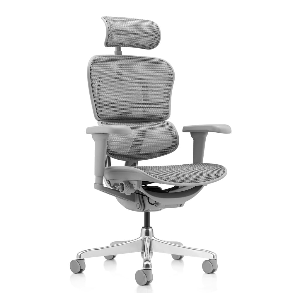 hjh OFFICE Bürostuhl ergonomisch ERGOHUMAN Ultra G GEN2 Originales Design, Bürosessel mit Flexibler Lendenwirbelstütze, Netzbespannung, Grau