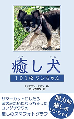 癒し犬 101枚ワンちゃん 柴犬みたいになっちゃったロングチワワの癒しのスマフォトグラフ 癒し犬愛好会 スマフォトグラファーkai 写真 Kindleストア Amazon