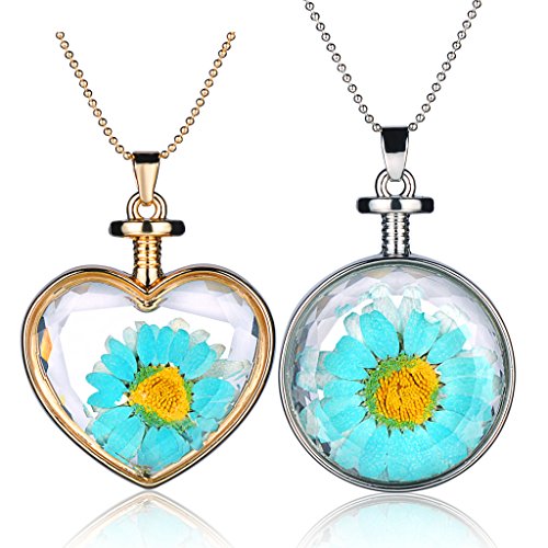 Preisvergleich Produktbild Yumilok Trockene Blaue Sonnenblumen Transparent Herz / Rund Anhänger Halskette Legierung Glas Flasche Kettenänhanger für Damen Mädchen, 2 Stücke