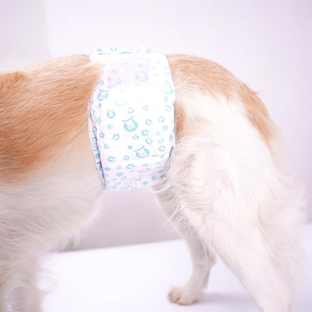 Foto 6 de 8 de Pañales Desechables para Perro Pañales para Perros Macho Pañal Sanitarios para Perro Mascotas Bragas…