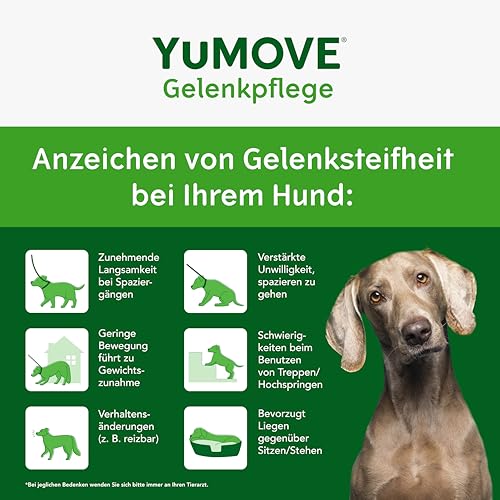 YuMOVE Gelenktabletten Hund 5–8 Jahre - 300 Tabletten - 150mg Jede Tablette Patent Angemeldet ActivEase Grünlippmuschel Hund - Testsieger für Bewegungsunterstützung mit Glucosamin und Chondroitin