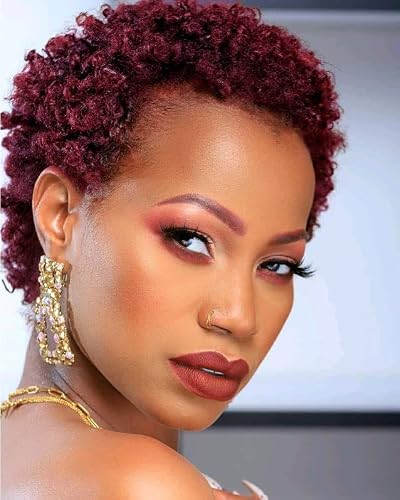 Qingcheng Short Ombre Wig Synthetic Short Wigs for Black Women Short Afro Curly Wigs for Women (Qch-1116B)