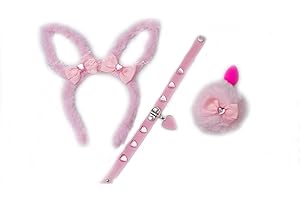 18+ Pretty All Pink Princess Bunny Rabbit Pet Play Set for Women with Heart Gems