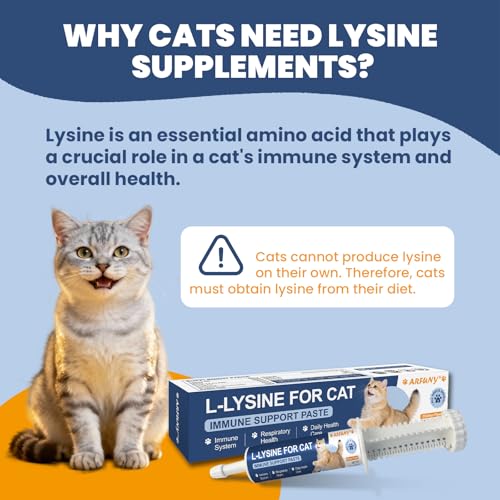 Lysin Katze- L- Lysin Katze Paste- Immunsystem Stärken- bei Atemwege, Lindert Allergien und Niesen- mit Taurin, Omega- 3, Vitaminen- 60ML Paste mit Hühnergeschmack-2