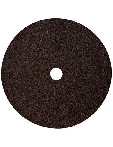 Tree Ring, 36 Tree Ring, 36