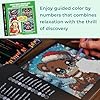 Christmas Woodland Animal Color by Numbers Adventure: 31 Cozy Winter Animals with Pixel Mosaics in Squares, Triangles, Hexagons & Circles (Mystery Color by Numbers for Adults) #5