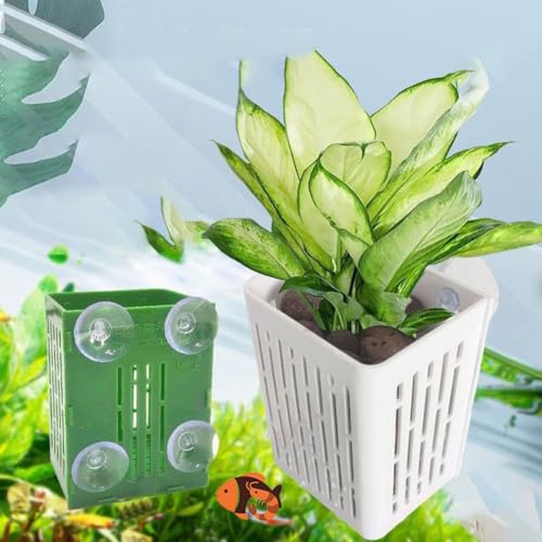 BildeeMait Lot de 3 paniers de plantes en résine pour aquarium avec ventouse sécurisée, position réglable, accessoire pour aquarium, 8 x 6 x 11 cm, couleurs assorties