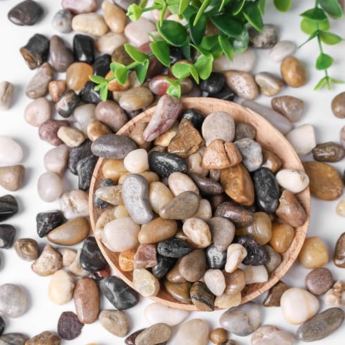 HAKACC 450g Flusskiesel，Kieselsteine Polierte zum Basteln Kleine Deko Steine für Vasen Pflanzen Garten Landschaftsbau Sukkulenten