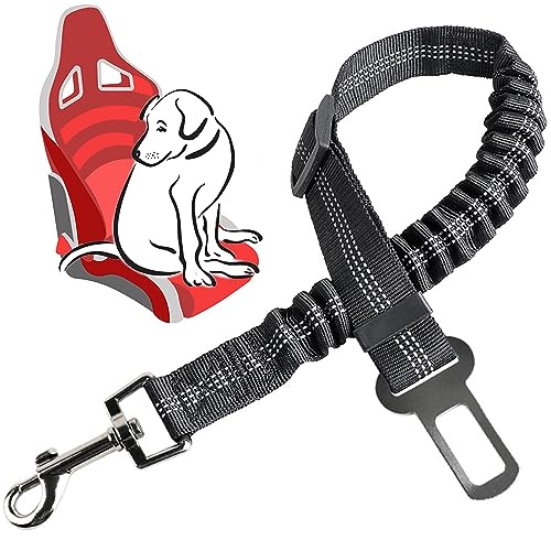 Anschnallgurt Hund Auto
