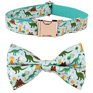 Nesttimes Dinosaurier Hunde-Halsband mit Fliege Hellblau