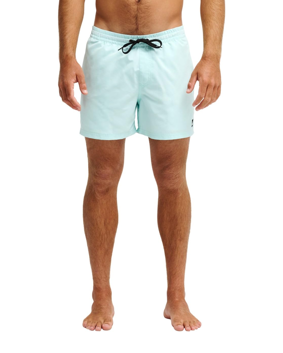 Quiksilver Swim Shorts Everyday Volley 15 Mens Blue
