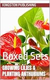 Growing Lilies & Planting Anthuriums: Boxed Sets (Container Gardening and Greenhouses)