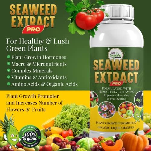Seaweed Extract Liquid Concentrate (250ml) Organic Liquid Fertilizer Flower, Vegetable & Fruit Feed | All Purpose Plant Food for Indoor & Outdoor - Garden Fertiliser