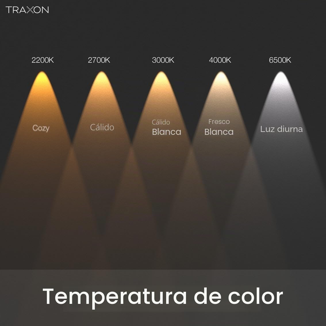 TRAXON LUXPOINT® Cajas x6 unidad Panel LED- Willi 40W 4000Lm 60x60cm Luz Fría 6500K driver integrado flicker free CRI80 IP20 techo falso *Marco No Incluido (Luz Fría 6500K 60x60 | Caja 6 unidad)