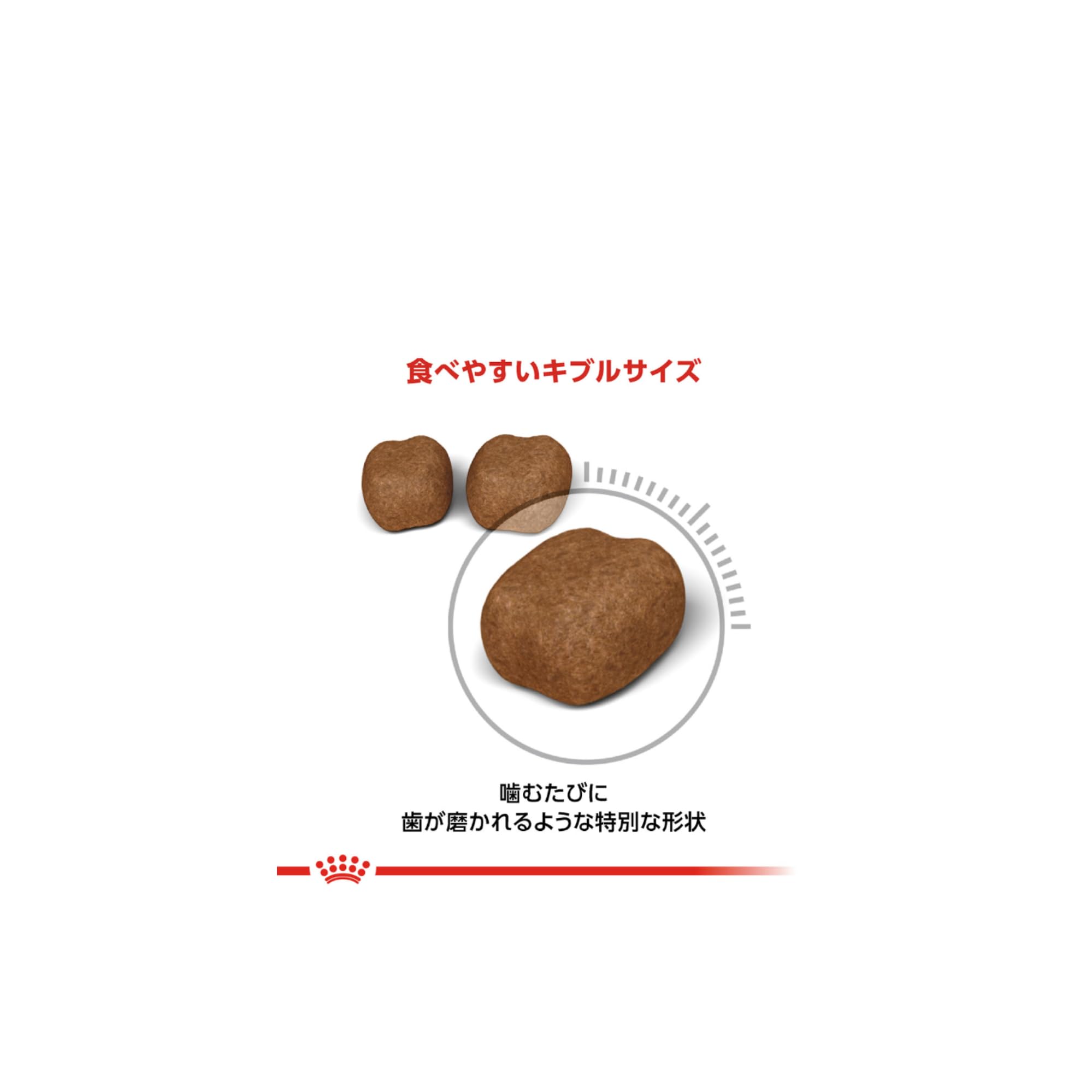 Amazon | ロイヤルカナン キャットフード FCN デンタル ケア 歯垢