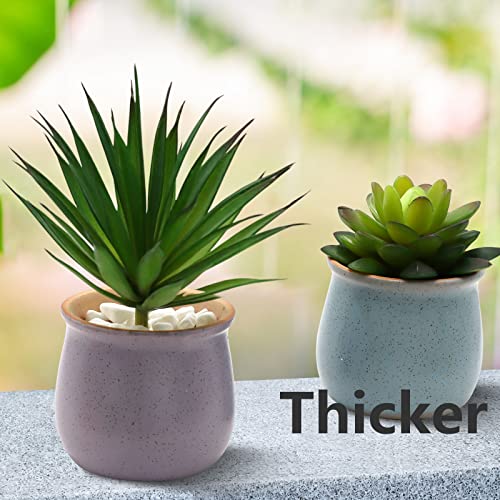 Hecaty 5 Pcs Large Size Faux Succulents Set,Realistic Large Fake Succulents,Artificial Hanging Ornaments Fleshed Plant Textured For Home Garden Wedding Party Decoration #TOP4