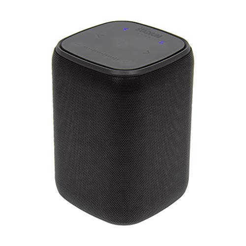 Best Portable Speaker For Audiophiles Expert Review The Modern Record