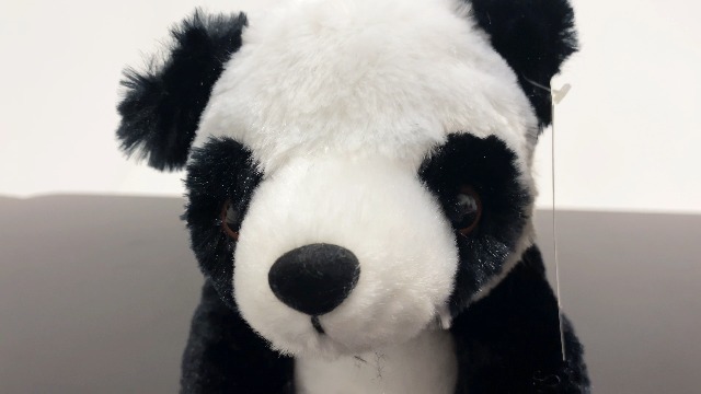 Amazon.com: Adventure Planet 8