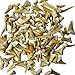Bulk Lot of 100 Real Fossil Shark Teeth in a Gift Box