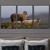 3 Piece Framed Canvas Wall Art Fun Animals Canvas Prints Home Artwork Decoration for Living Room,Bedroom - 16