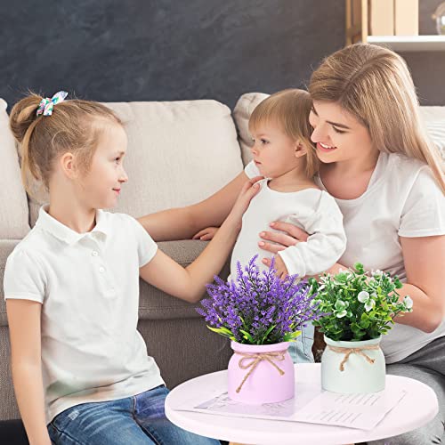Cewor Small Fake Plants - 3 Pack Artificial Potted Flowers Faux Greenery Plants, Eucalyptus Boxwood Lavender In Plastic Macaron Pots Bonsai For Home Office Shelf Desktop Indoor Outdoor Wedding Decor #TOP5