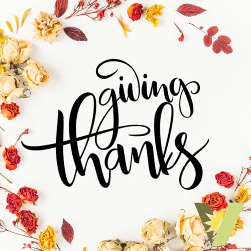 Thanksgiving 11.30.2025