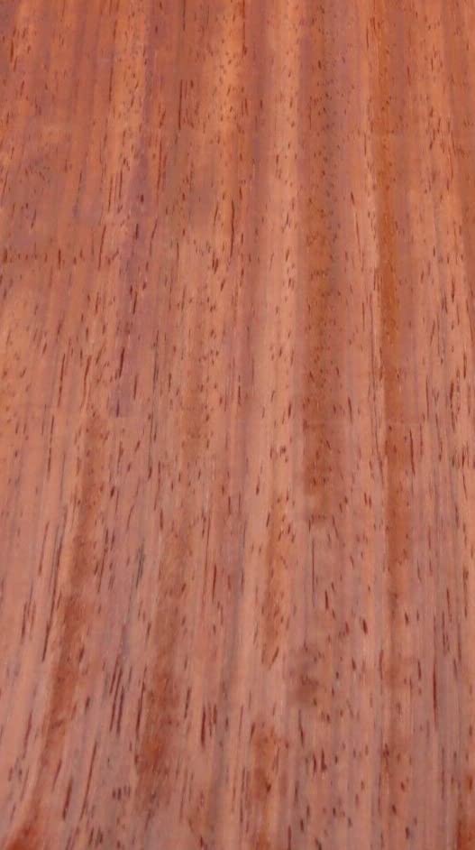 Padauk Quarter Cut Wood Veneer 5" x 12" raw no Backing 1/42" Thickness