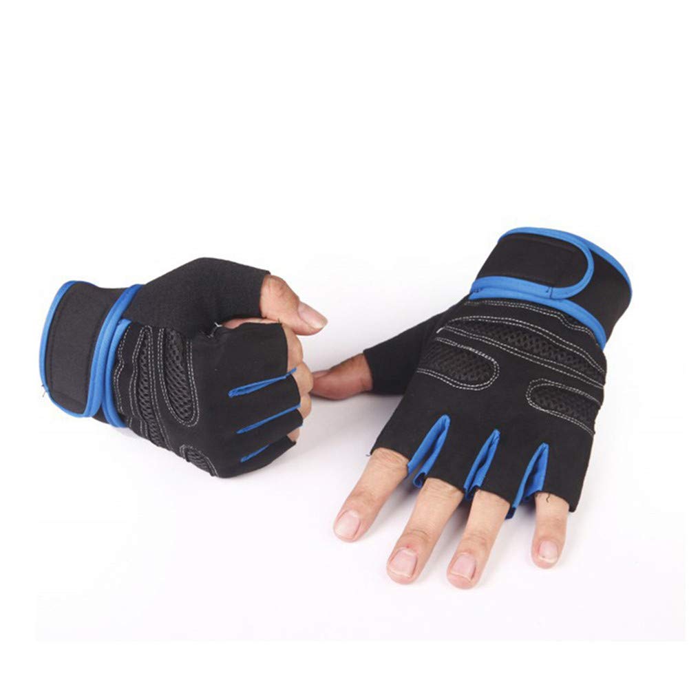 WFX Cinghie Per Sollevamento Pesi, Supporto Per Il Polso, Imbottite, In Neoprene, Per Palestra, Allenamento, Cross, Per Sollevamento Pesi, Fitness, Bodybuilding, Stacco Da Uomo, Donna (rosso