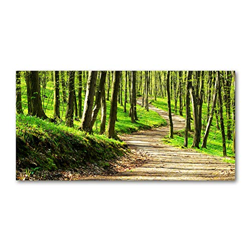 Toile chemin dans la forêt vert Tulup 120x60 cm habille un mur vide