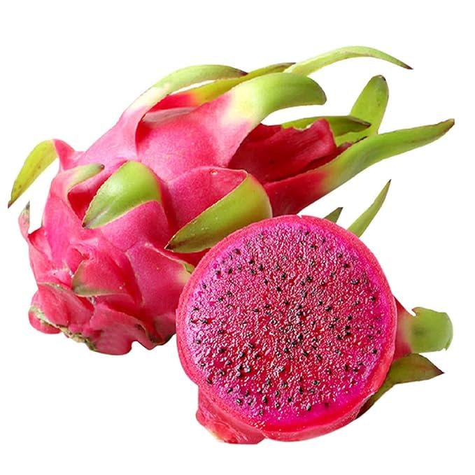 Image of Dragon Fruit Plant Combo Pack of 3 - All three Color Varieties- Yellow Skin, PinkSkin with White Flesh and PinkSkin with PinkFlesh.[v0.5]