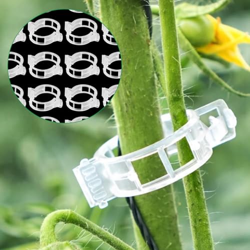 Image of Cinagro Plant Support Clips for Climbing Plants, Set of 100, 4cm Dia | Reusable Stem Holder for Upright Growth, For Vines, Vegetables, Flowers
