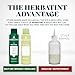 Herbatint Permanent Hair Dye - 1N Black - For Up To 100% Gray Coverage of Resistant Gray Hair - Ammonia-Free, Alcohol-Free & Vegan - Salon Influenced Hair color 5.75 fl oz