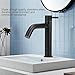 Zerodis Cold Water Faucet, High Arc Wet Bar Sink Faucets Antique in Wall Frost Crack Prevention Degree Rotation Single Tool for Kitchen Outdoor Garden and Bar