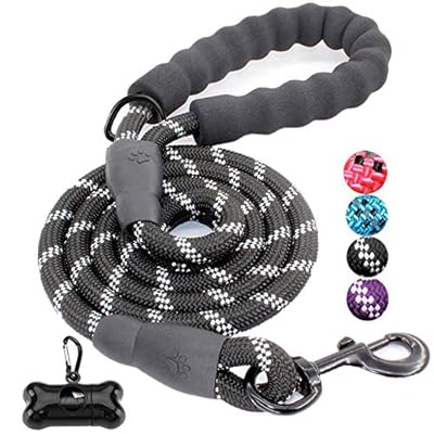 JBYAMUK 5 FT Strong Dog Lead with Comfortable Padded Handle and Highly Reflective Threads for Small, Medium and Large Dogs (5-FT, Black)