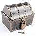 Leadtex Kids Pirate Treasure Chest Plastic Pirate Vintage Treasure Box,Bronze.