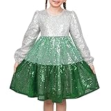 Vestido para niña Plata Verde Gradiente Lentejuela Manga Larga Escalonado Festivo Navidad Invierno 10 años