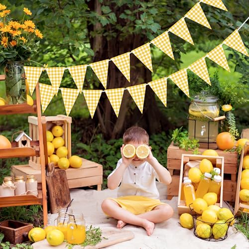 Image of VILIFEVER Yellow Gingham Banner for Picnic, BBQ Party Decorations | Yellow and White Checkered Garland Bunting Flags, Lemon Decorations, Yellow Party Decorations for Birthday, Baby Shower