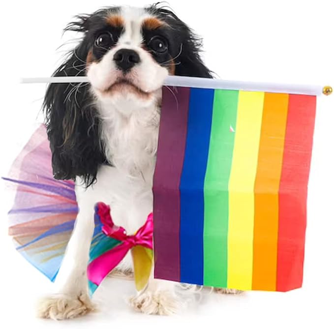 Falda Arcoíris Orgullo Gay para Perros y Gatos Talla M miniatura 3