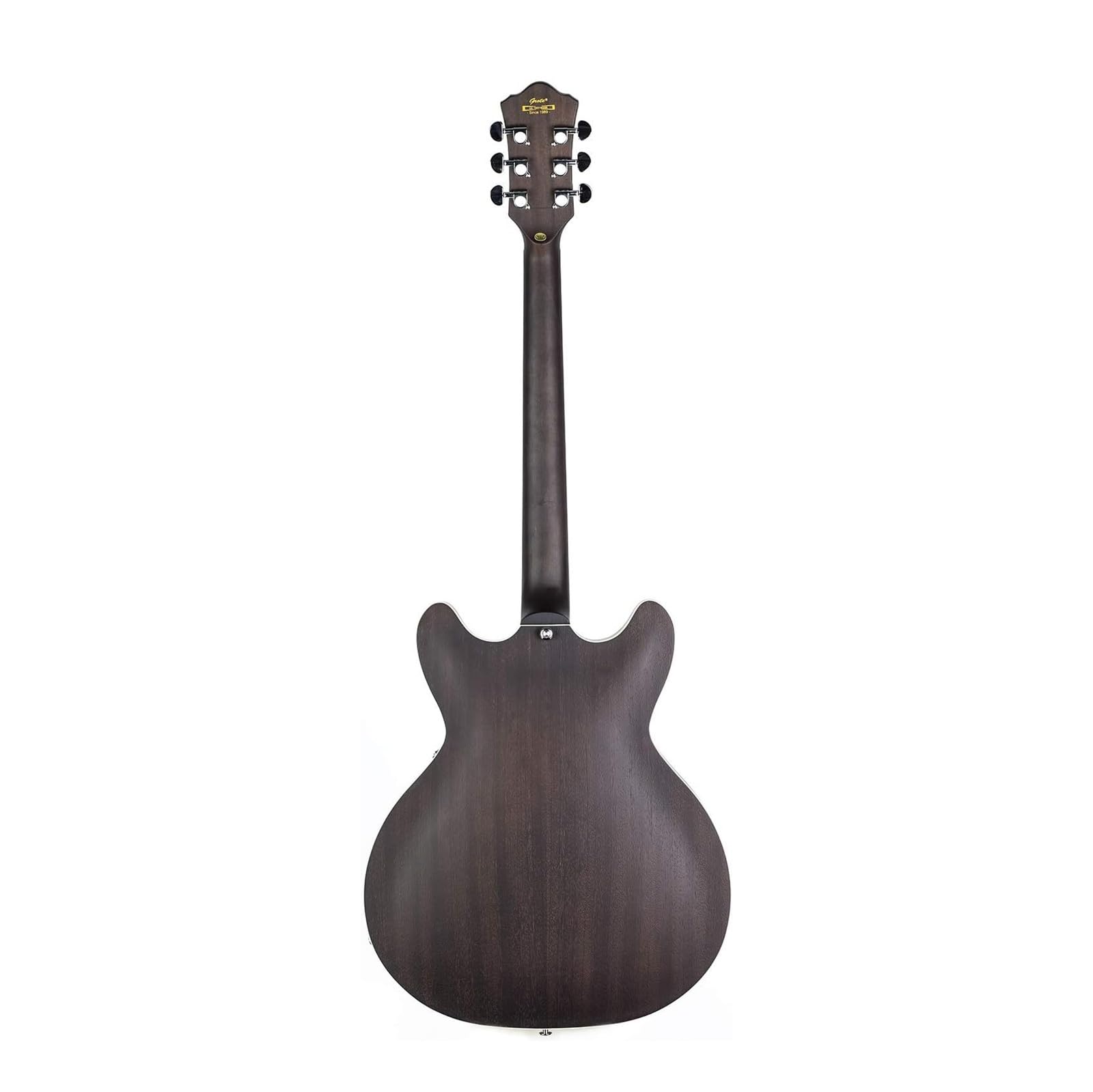 E-Gitarre Standard-E-Gitarre Semi-Hollow-Body-Instrument geeignet für Anfänger