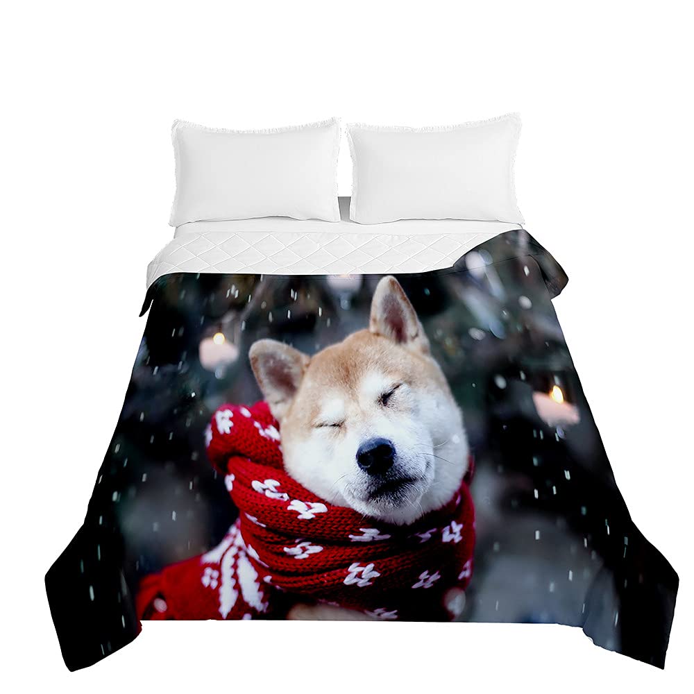 Copriletto Trapuntato Cane 3D - Matrimoniale 200x230 Cm, Leggero Per Primavera/Estate - Foto 9