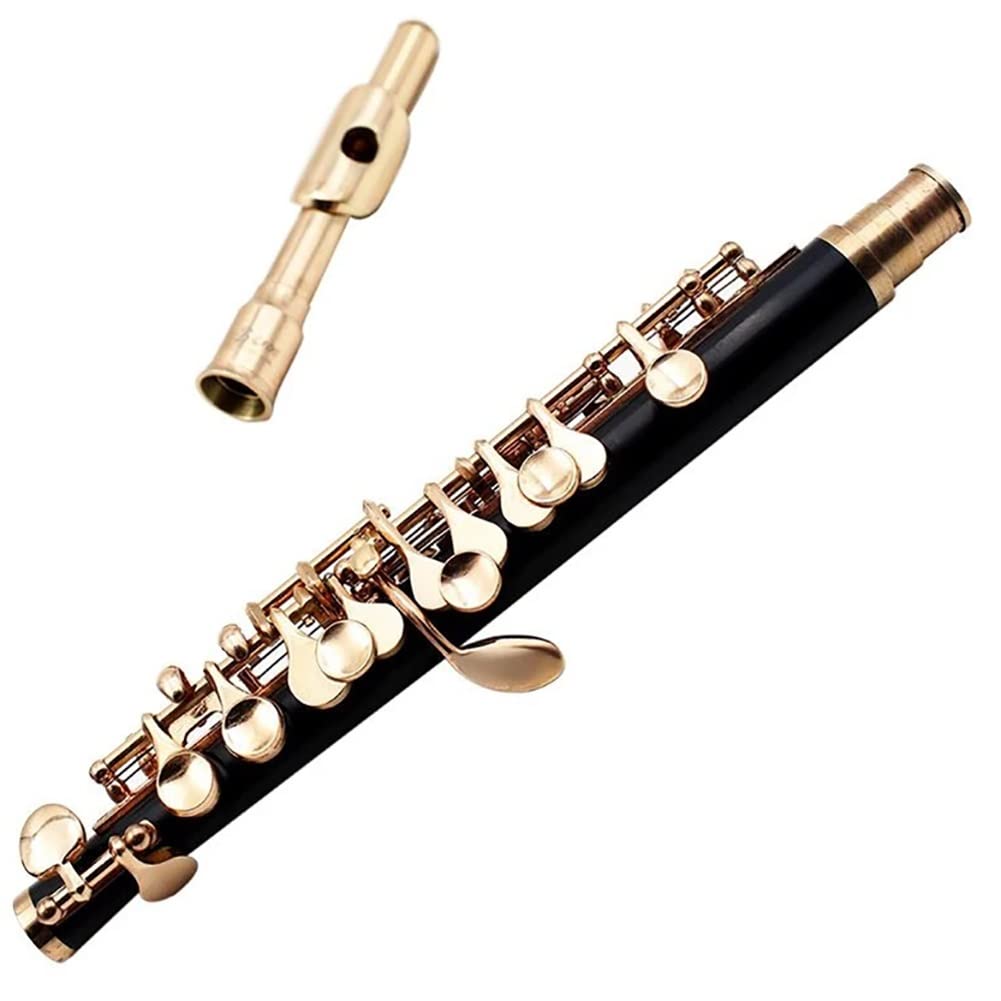 Ottavino di mezza misura, cupronickel placcato in argento C Key Tone 16 fori Piccolo con cacciavite for astuccio
