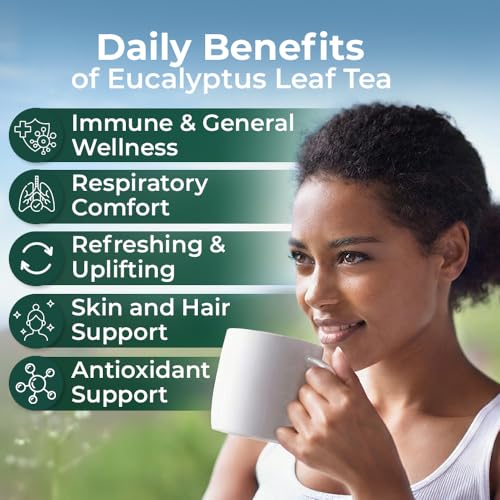 Image of 4 oz Dried Eucalypt Leaves Dry Herbal Tea (Eucalyptus) 113g Long Big Eucalyptus Leaf Herb Hojas De Eucalipto