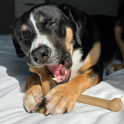 Image of Nylabone Strong Chew Gourmet Style Dog Chew Toys, Large, 2 Count