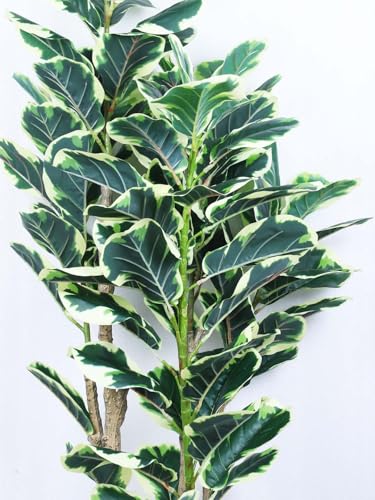 Image of ARICK DECOR 6Ft Artificial Fiddle Leaf Fig Tree with Pot for Faux Tree with Large Realistic Trunks and Big Leaves, Fake Floor Potted Artificial Plants (Multicolor-42) (5.1Ft-Leaf-White)